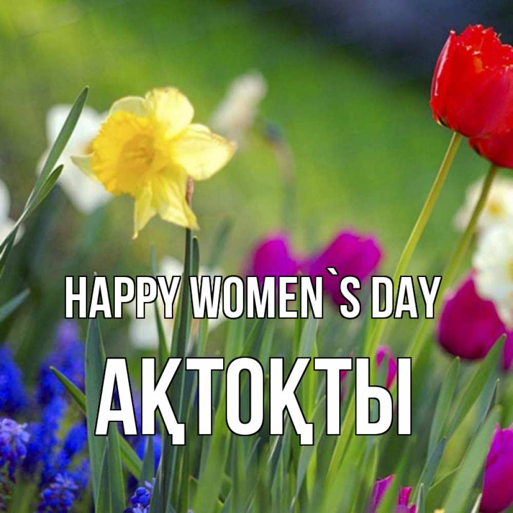 Greetings card с именем, АҚТОҚТЫ happy women`s day международный женский день 3 Greetings with text for free download 